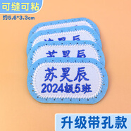 彩色星愿 刺繡定制姓名貼幼兒園名字貼可縫防水兒童衣服校服護(hù)士服名字牌 【帶孔易縫】藍(lán)(名字+班級(jí))10個(gè)