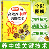 高效養(yǎng)中蜂 蜜蜂養(yǎng)殖技術(shù)書籍 養(yǎng)蜜蜂的書籍 中華蜂土蜂中蜂飼養(yǎng)養(yǎng)殖技術(shù)書籍 養(yǎng)蜂技術(shù)大全養(yǎng)蜂技術(shù)手冊 圖說高效養(yǎng)中蜂關(guān)鍵技術(shù)