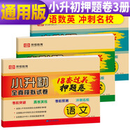 套裝3冊(cè) 2023新版小升初必刷18套押題卷語文+數(shù)學(xué)+英語全套 小學(xué)畢業(yè)升學(xué)準(zhǔn)備必備語文數(shù)學(xué)英語必刷題小升初真題卷模擬試卷測(cè)試卷