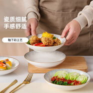 傳旗陶瓷盤子8英寸4只餐盤碟菜盤牛排盤餃子盤飯盤餐具家用釉下彩流星
