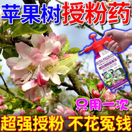 植翠蘋果樹授粉花粉人工大櫻桃獼猴桃草梅坐座果精催花?；▽Ｓ梅噬衿?10袋裝【快速授粉】