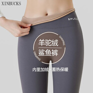 XINBUCKS收腹提臀加絨加厚鯊魚褲女秋冬保暖打底褲外穿薄絨芭緊身瑜伽褲比 灰色薄絨（適合0至15°C） 2XL碼 適合140-155斤