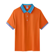 FEIYU LEEPolo衫夏季t恤翻領(lǐng)短袖工作服工衣工裝員工訂做刺繡t印字logo中山 橙紅 4XL