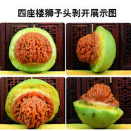 中倚大粗筋核桃文玩青皮官帽四座樓獅子頭磨盤平谷連體落地紅白獅子 2個(gè)52-55mm青皮蛤蟆頭+送工具