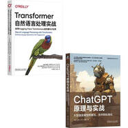 ChatGPT原理+Transformer自然語言處理 使用Hugging Face構(gòu)建NLP應(yīng) deepseek教程