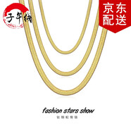 子午線(xiàn) 歐美時(shí)尚ins風(fēng)刀片鏈男女鈦鋼扁平蛇骨鎖骨鏈時(shí)尚嘻哈項鏈