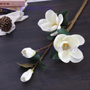高仿真玉蘭花花藝套裝手感PU插花陶瓷花瓶歐式風(fēng)大玉蘭客廳裝飾大花束落地防真假花擺件現(xiàn)代簡約花卉 白色PU手感大玉蘭 每支2大花2小花