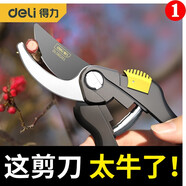 得力省力果樹剪刀修枝剪剪枝剪園藝剪刀樹枝修剪粗枝花藝盆栽剪子工具 家用升級款8寸修枝剪（0-18mm）