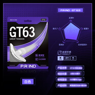 浦銳浦銳GT63/GS67羽毛球高彈拉線耐打羽毛球拍比賽 GT63高彈【白色】 三條裝