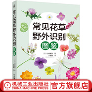常見花草野外識別圖鑒 常見花卉園林植物識別圖鑒園林花草樹木植物野花野外識別鑒賞速查手冊百科全書花卉養(yǎng)殖科普書籍