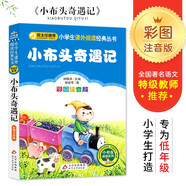 小布頭奇遇記 兒童文學 注音版 一二三年級小學生課外閱讀經典叢書 小書蟲閱讀系列