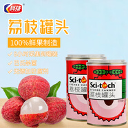 科技 荔枝罐頭425g*2罐 水果罐頭即食休閑零食水果撈糖水飲料甜點(diǎn)禮物