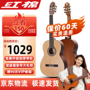 红棉（Kapok）SC-11古典木吉他云杉面单板初学者新手入门男女生通用儿童成人
