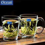 鷗欣進口玻璃茶杯耐熱泡茶杯帶把家用待客水杯加厚大容量茶杯喝綠茶杯 時尚把杯315ml【兩支】