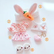 shinstry現貨 20厘米棉花娃娃套裝娃衣明星公仔換裝連衣裙子女孩玩具禮物 花熊六件套 20CM娃可穿