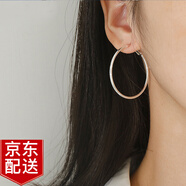 Warme Farben 大圈圈耳環(huán)女耳飾2025新款潮圓圈耳圈韓國氣質(zhì)網(wǎng)紅大耳圈 4cm耳環(huán)