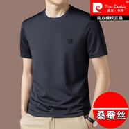 皮爾卡丹（pierre cardin）短袖t恤男桑蠶絲圓領(lǐng)夏季新款高檔真絲半袖體恤衫男裝冰.絲上衣 上青 XL 175=