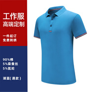 衫侶 工作服定制短袖翻領(lǐng)定做T恤刺繡印字logo工衣polo文化衫訂制 湖蘭色/直筒 M  短袖