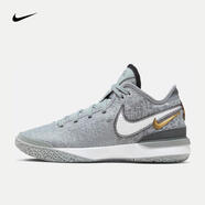 耐克（NIKE）詹姆斯男子籃球鞋 LEBRON NXXT GEN EP DR8788-004 42.5