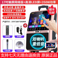 金正（NINTAUS） N60廣場舞音響帶顯示屏 戶外拉桿視頻機(jī)藍(lán)牙音箱播放器移動KTV點(diǎn)歌機(jī)一體機(jī) 觸屏版+單話筒
