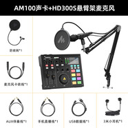 閃克（Sudotack） 外置聲卡套裝主播直播專業(yè)錄音設(shè)備k歌修音全套手機(jī)電腦電容麥克風(fēng)閃客啵啵麥 AM100+HD300S(動(dòng)圈麥款式)