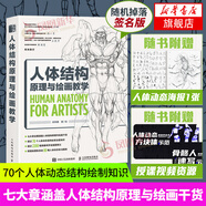 人體結(jié)構(gòu)原理與繪畫  畫畫的春哥伯里曼人物漫畫教程書 畫畫入門自學(xué)零基礎(chǔ)系列自選 臨摹畫冊插畫教程 人體結(jié)構(gòu)原理與繪畫教學(xué) 定價149.9