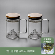 華行 加厚帶把茶水分離杯玻璃水杯辦公室耐熱透明過(guò)濾泡茶杯家用帶蓋水杯子 觀(guān)山月牙款 430ml 2只裝