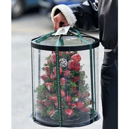 花與千尋圣誕節鮮花速遞同城配送平安夜蘋(píng)果禮盒玫瑰花束表白送女友全國 66顆草莓圣誕樹(shù)—提前預定款