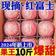 爆甜】正宗陜西紅富士蘋(píng)果丑蘋(píng)果脆甜冰糖心蘋(píng)果當季新鮮水果包郵 優(yōu)選中果【60-70mm】?jì)糁?斤