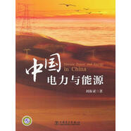 正版舊書(shū) 中國電力與能源