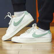 耐克（NIKE）休閑鞋男鞋 春季新款運動(dòng)鞋訓練低幫復古鞋透氣輕便滑板鞋 DO9799-100/白色/瓷釉綠 42