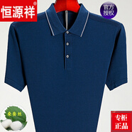 恒源祥 短袖T恤男士桑蠶絲夏季中年半袖爸爸裝加大碼保羅衫 3037-蘭色 L 175碼