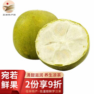 桂公子精選羅漢果 低溫脫水 涼茶花草茶 大果·果徑55-62mm 20個(gè)獨立散裝