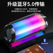 拼搏者便攜藍牙音箱高音質(zhì)無(wú)線(xiàn)電腦音響臺式微信收款桌面智能音響廣場(chǎng)舞戶(hù)外喇叭擴音器小低音炮立體環(huán)繞 【標準版】支持藍牙