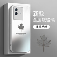 彩繪師 適用vivoiQOONeo8/10/9SPro+手機殼創(chuàng)意玻璃neo7se/6se/5s硅膠防摔硬殼保護套網(wǎng)紅簡約楓葉男女款 iQOONeo6/6se【冰川銀】立體感玻璃