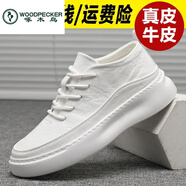 啄木鳥(niǎo)【全真皮】小白鞋男鞋牛皮內(nèi)增高厚底白鞋透氣休閑運(yùn)動(dòng)潮鞋男鞋子 白色 平底3.5cm-品牌旗艦?zāi)行瑪啻a處理特·價(jià) 39 標(biāo)準(zhǔn)碼-品牌旗艦?zāi)行瑪啻a處理特·價(jià)
