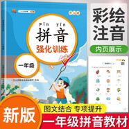 漢知簡(jiǎn)小學(xué)一年級(jí)拼音強(qiáng)化訓(xùn)練 拼音練習(xí)冊(cè)幼小銜接拼音幼兒?jiǎn)⒚捎?xùn)練學(xué)拼音神器彩繪版
