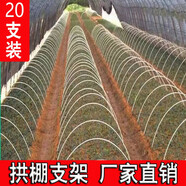 20根小拱棚支架拱桿竿大棚內(nèi)棚套棚骨架玻璃纖維桿地膜園藝農(nóng)用 6毫米粗1.5米長20根