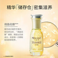 一葉子雪耳水潤保濕精華液60ml 提亮補水保濕夜間滋養水潤