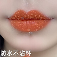 GOVO不沾杯不掉色的保濕持久防水口紅持久囗 紅豆沙色 #G04胡蘿卜色口紅_Aten
