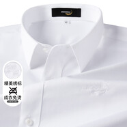 鱷魚(yú)恤CROCODILE鱷魚(yú)恤專(zhuān)款男士秋冬簡(jiǎn)約長(cháng)袖襯衫氣質(zhì)柔軟免燙襯衣 白色 44