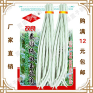 蔬菜種子四季播種陽(yáng)臺農家庭院盆栽生菜菠菜韭菜香菜西瓜籽孑 杏色 改良泰國白玉豆角