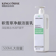 璟蔻（KINGCOUSE） 美容院裝專(zhuān)用積雪草洗面奶控油深層清潔毛孔男女士500g大瓶 積雪草潔面乳 500g