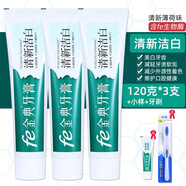 fe金典牙醫金典牙膏雪豹fe經(jīng)典牙醫生物酶牙膏105克干刷牙膏早晚裝生物 清新潔白120克*3+小樣+牙刷