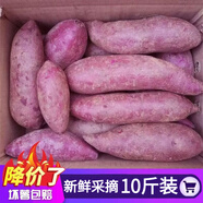 枝遙（ZHIYAO）紫薯 紫羅蘭10斤裝帶箱沙地紫薯紅薯 新鮮現(xiàn)挖 蔬菜地瓜農(nóng)家 帶箱五斤精選品質(zhì)   紫薯