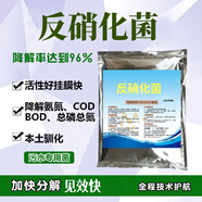 WALIY污水處理菌種好氧菌厭氧菌復合細菌微生物菌粉生化培養(yǎng)污泥菌COD 反硝化菌 1kg 1包