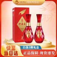 河套酒業(yè) 河套王酒 淡雅 濃香型超市白酒 口糧自飲 500ml*2瓶 雙支裝 42度 河套王品格