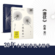 小說技術(shù)（《潛伏》作者龍一20年創(chuàng)作生涯總結(jié)：故事寫作實訓(xùn)課+影視改編經(jīng)驗談。限量簽名本隨機發(fā)貨）