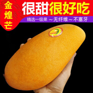 鯨咚億農(nóng)正宗海南三亞金煌芒果水仙芒新鮮熱帶水果當(dāng)季特大甜心芒 凈重9斤特大果【爆甜】
