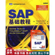 正版舊書(shū) SAP基礎(chǔ)教程